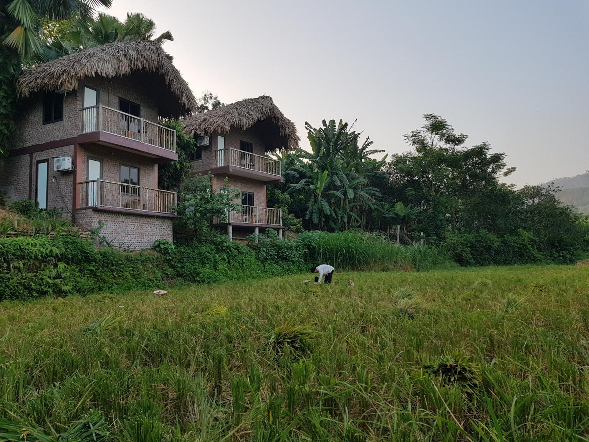 Vu Linh Palm House Homestay - Bungalow Yen Bai Екстериор снимка
